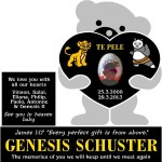 Schuster Genesis